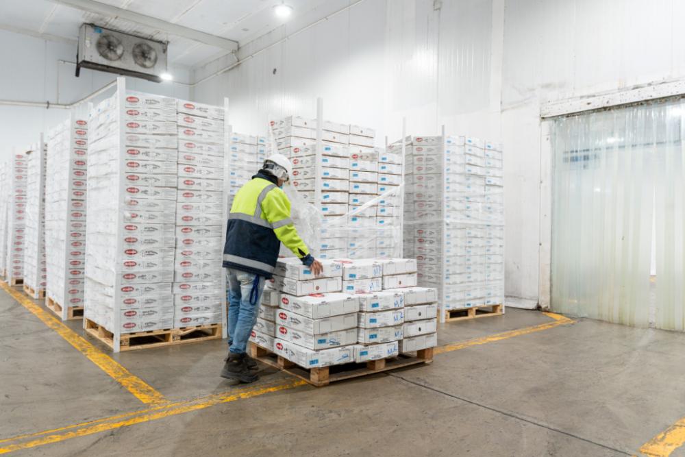 Understanding Cold Chain Requirements For Effective Supply Chain Management